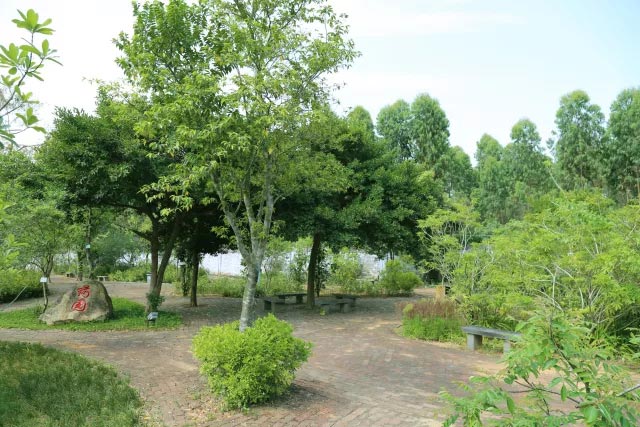 學校美景