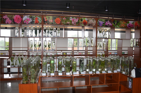 中醫藥博物館